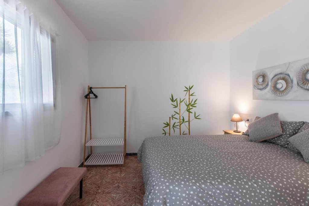 Anaga Experience: Mountain And Beach Retreat Taganana Bagian luar foto